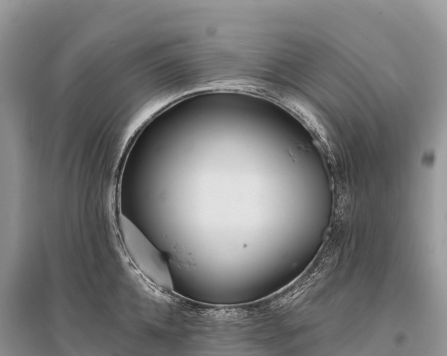 X0000096150952200801251101
