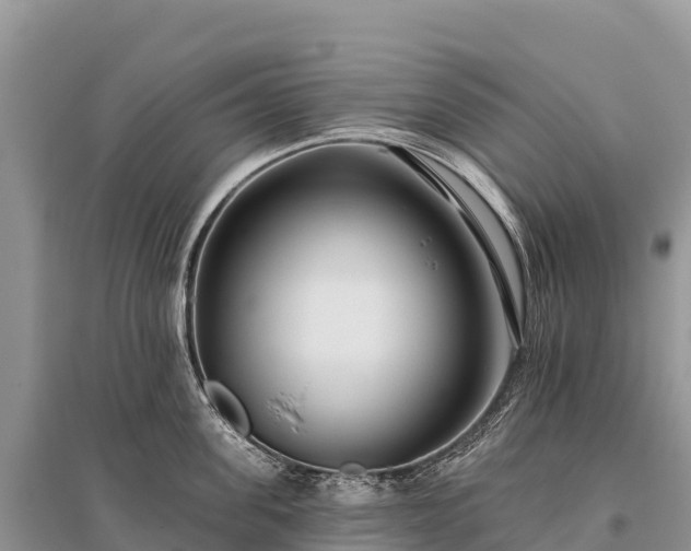 X0000096150955200801251101