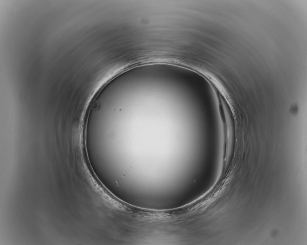 X0000096150957200801251101