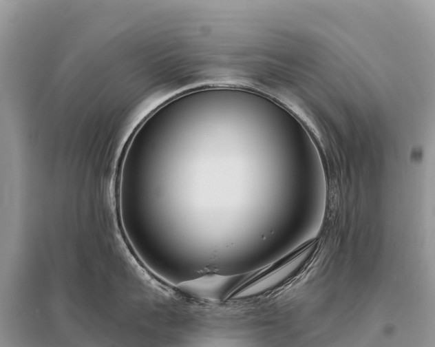 X0000096150959200801251101