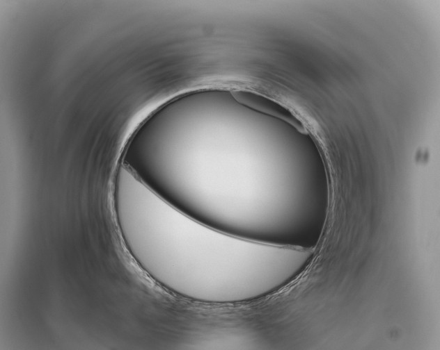 X0000096150960200801251101