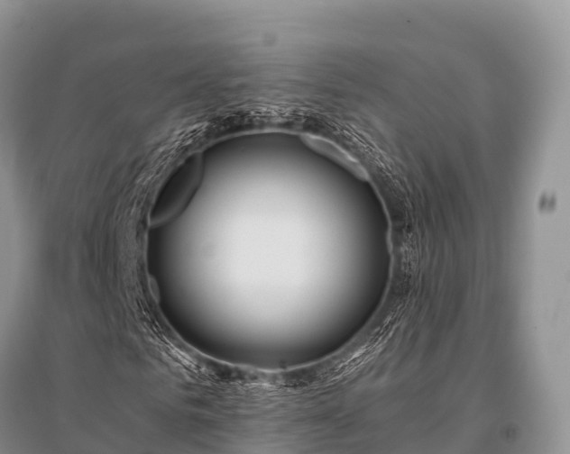 X0000096150961200801251101