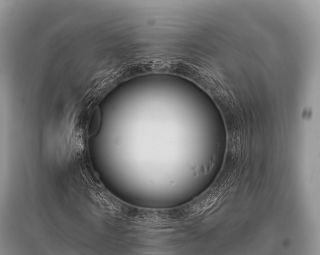 X0000096150962200801251101
