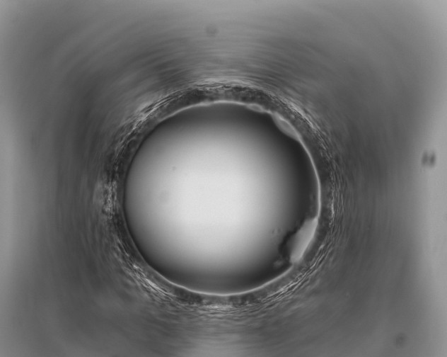 X0000096150965200801251101