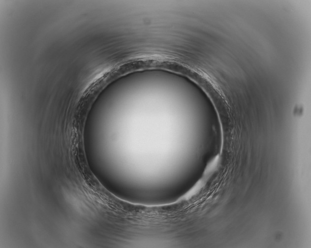 X0000096150967200801251100