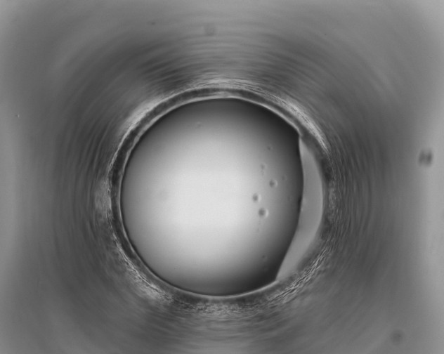 X0000096150972200801251100