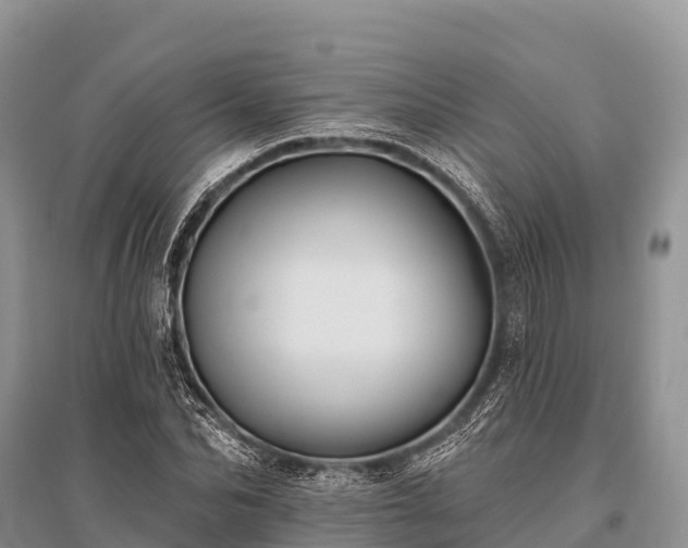 X0000096150974200801251100