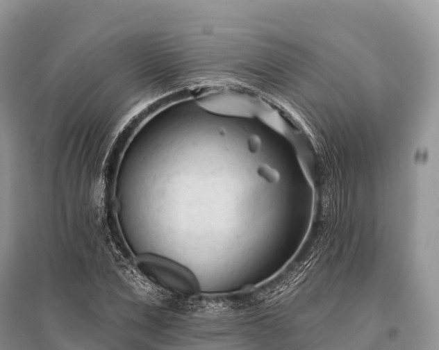 X0000096150975200801251100