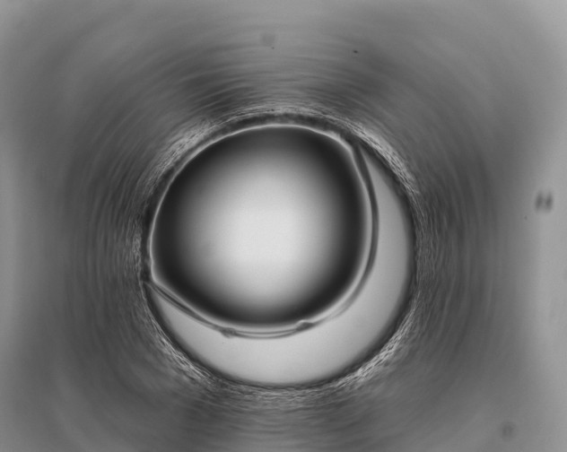 X0000096150977200801251100