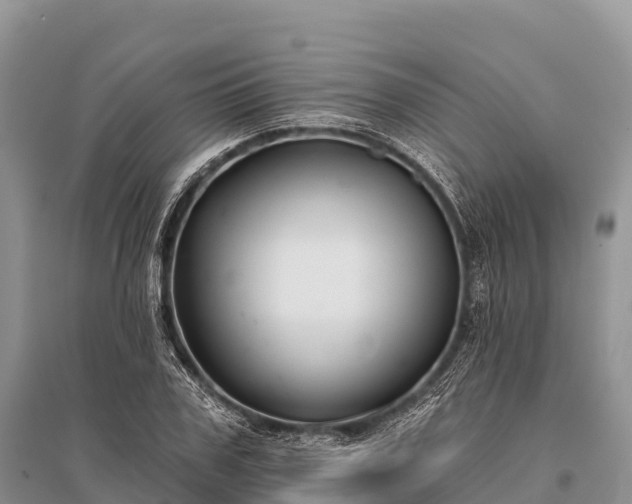 X0000096150979200801251100