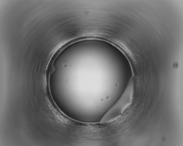 X0000096150980200801251100