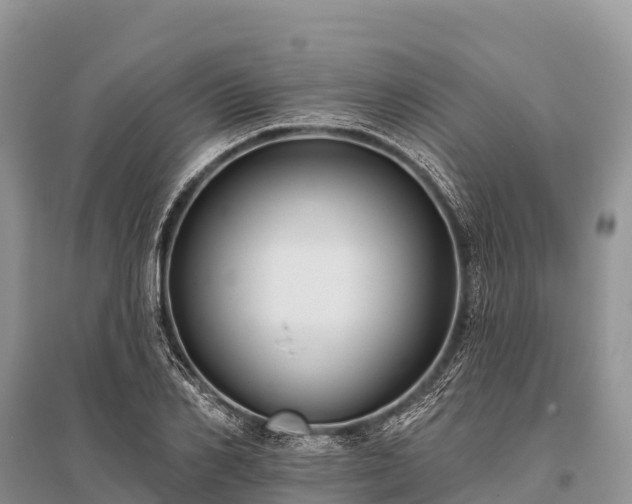 X0000096150982200801251100