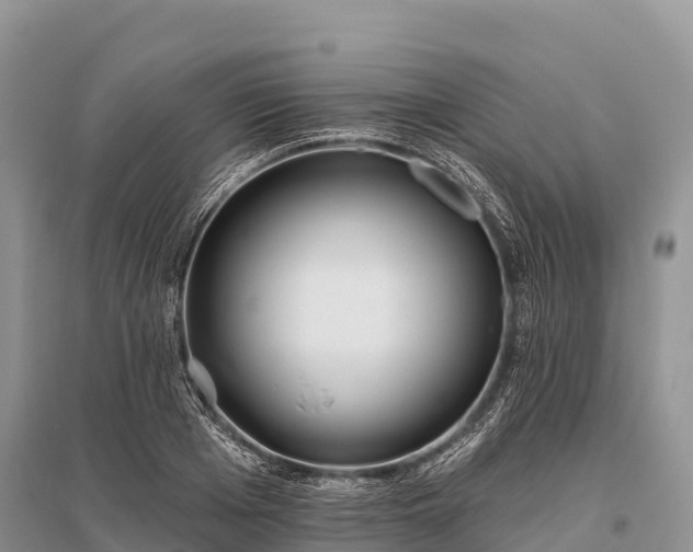 X0000096150985200801251100