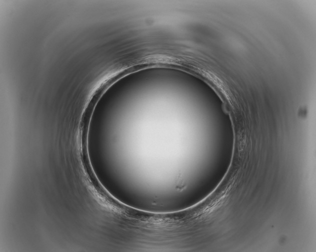 X0000096150987200801251100