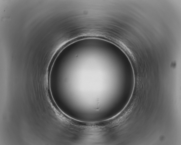 X0000096150988200801251100