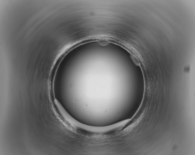 X0000096150989200801251100