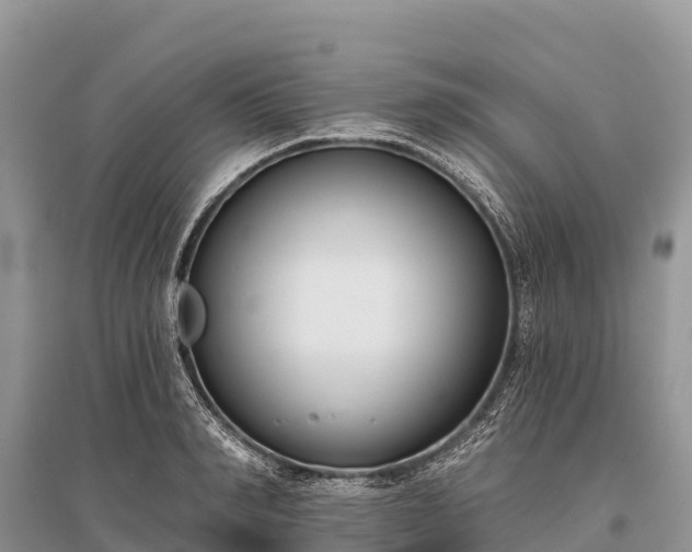 X0000096150990200801251100