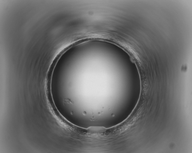 X0000096150991200801251100