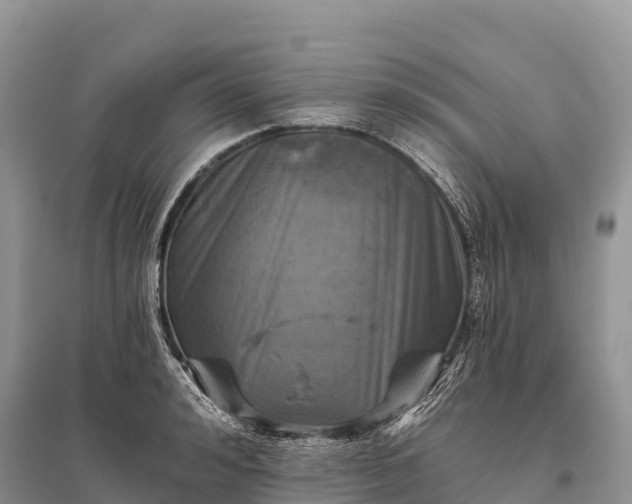 X0000096150992200801251100
