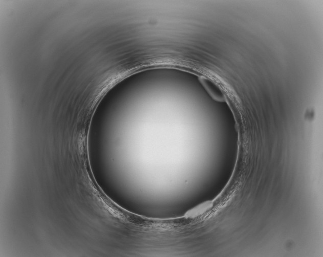 X0000096150993200801251100