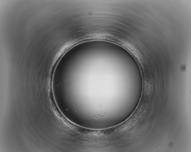 X0000096150994200801251100