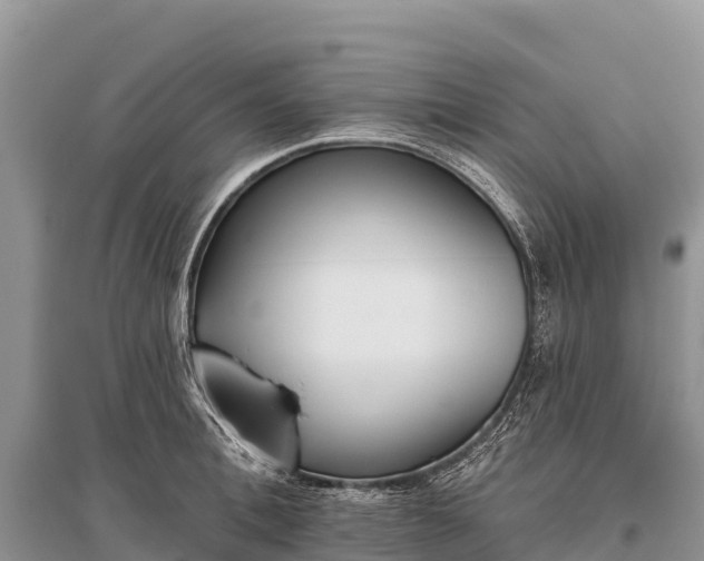 X0000096150996200801251100