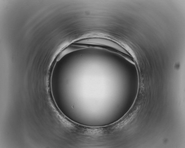X0000096150997200801251100