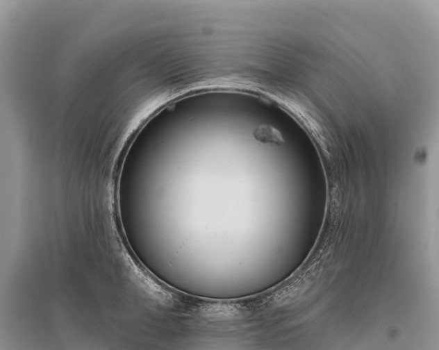 X0000096150998200801251100