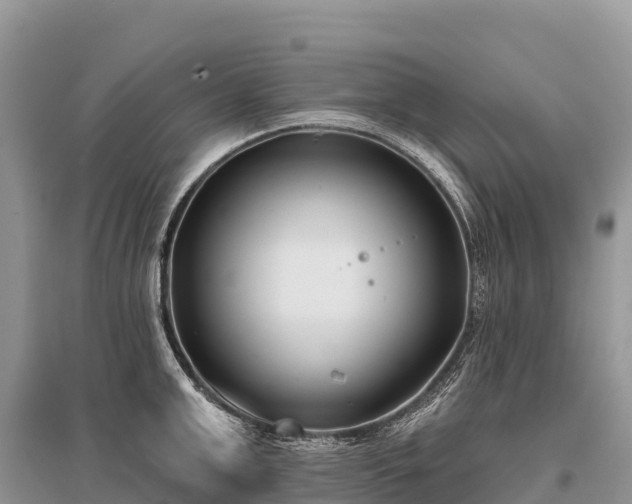 X0000096150999200801251100