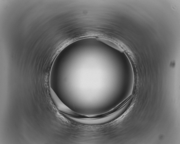 X0000096151001200801251100
