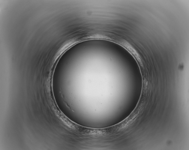 X0000096151002200801251100