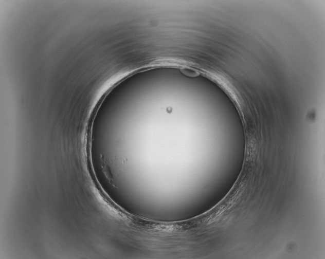 X0000096151003200801251100