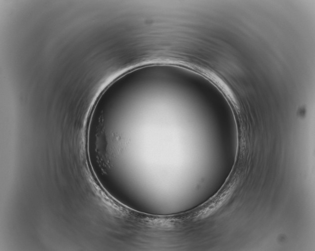 X0000096151004200801251100