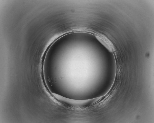X0000096151005200801251100