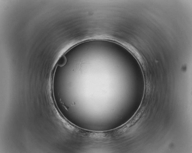 X0000096151006200801251100