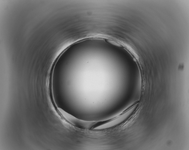 X0000096151007200801251100