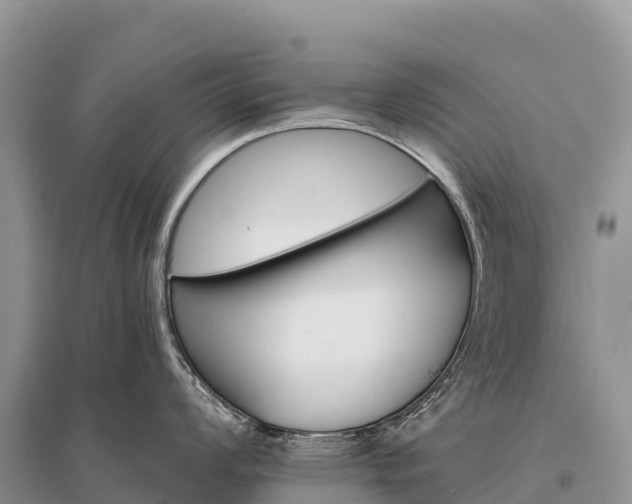 X0000096151008200801251100