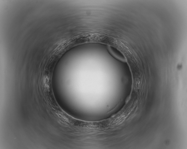 X0000096151010200801251059