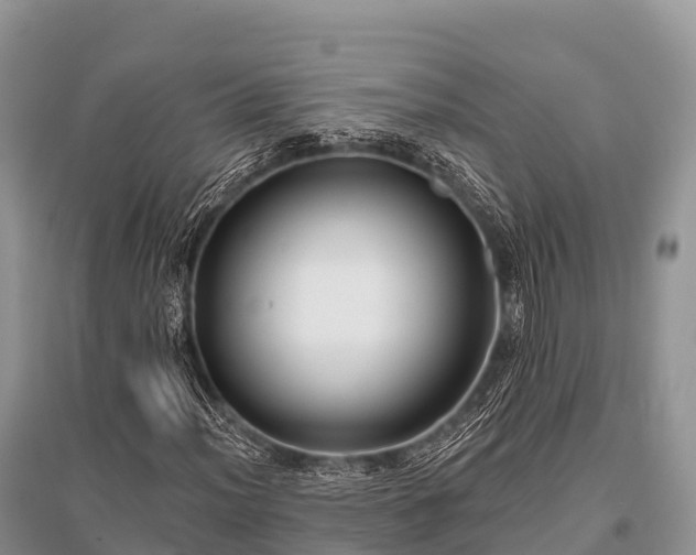 X0000096151012200801251059