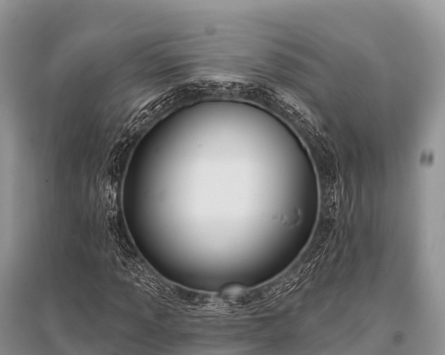 X0000096151013200801251059
