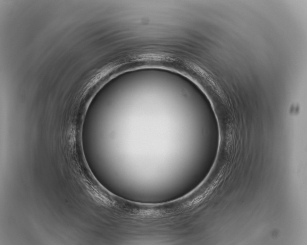 X0000096151017200801251059