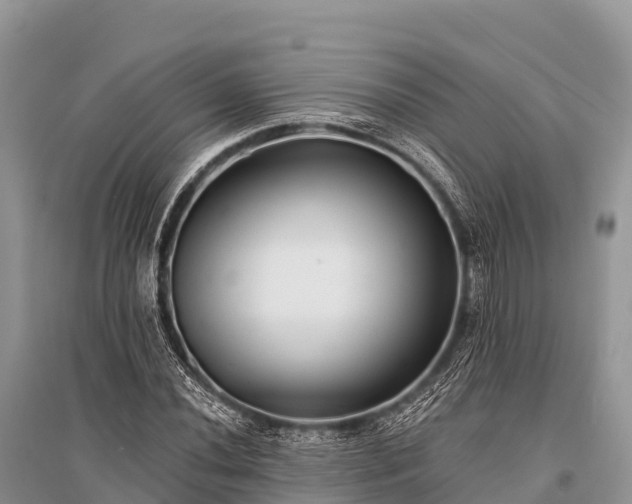 X0000096151020200801251059