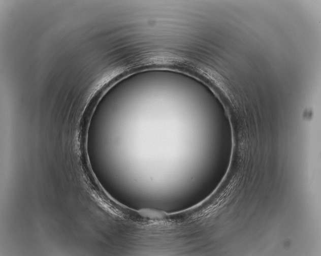 X0000096151026200801251059