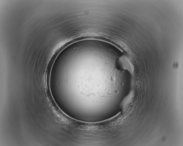 X0000096151030200801251100