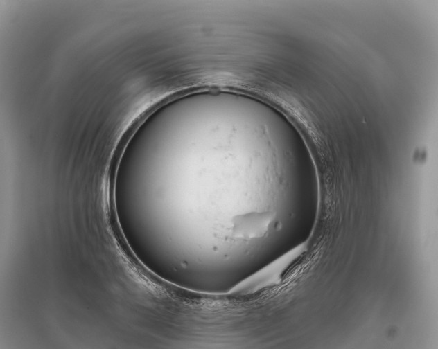 X0000096151032200801251100