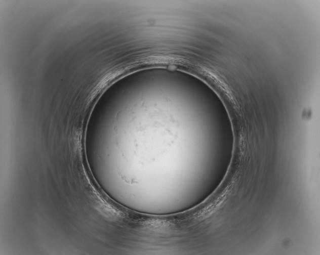 X0000096151033200801251100