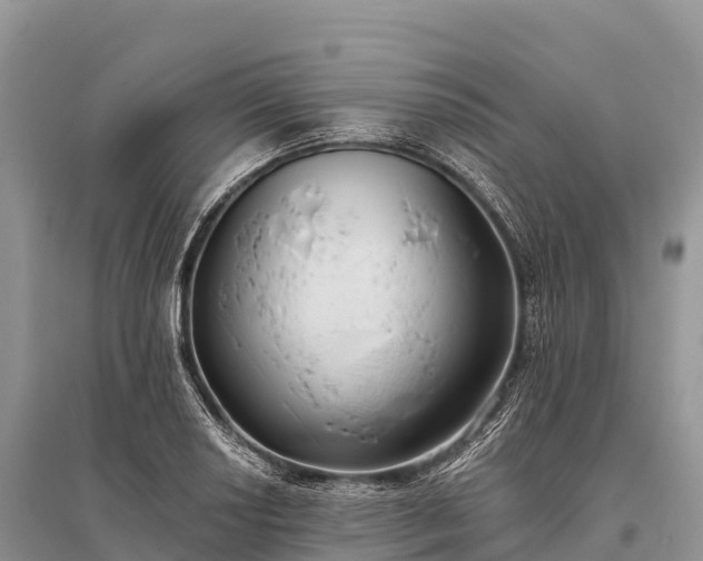 X0000096151034200801251100