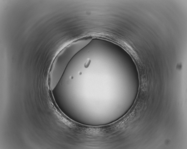 X0000096151036200801251100