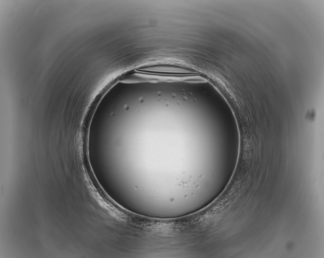 X0000096151038200801251100