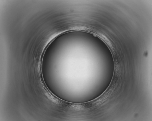 X0000096151044200801251100